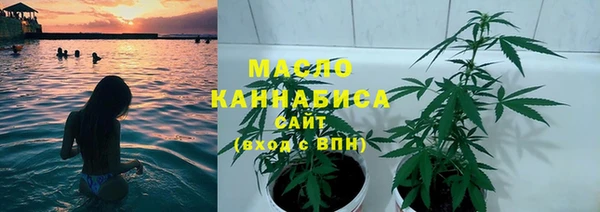 индика Нея
