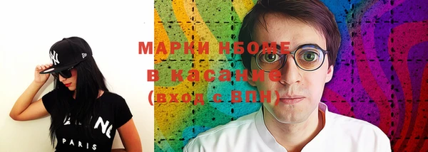 сатива Новозыбков