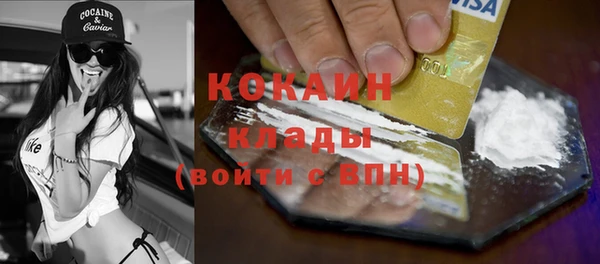 ешки Новодвинск