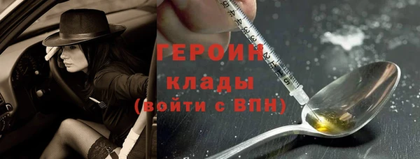 сатива Новозыбков