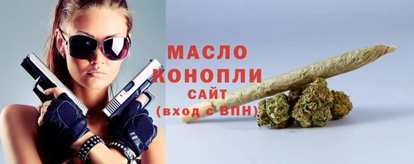 ешки Новодвинск