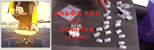 ешки Новодвинск