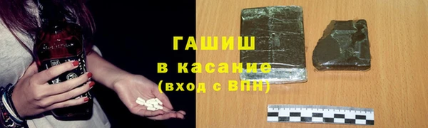сатива Новозыбков