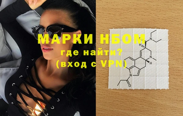 сатива Новозыбков