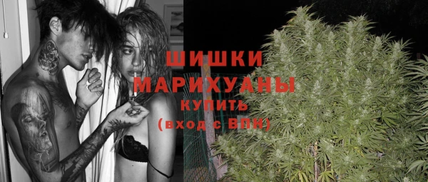 ешки Новодвинск