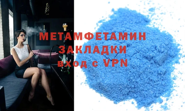 сатива Новозыбков
