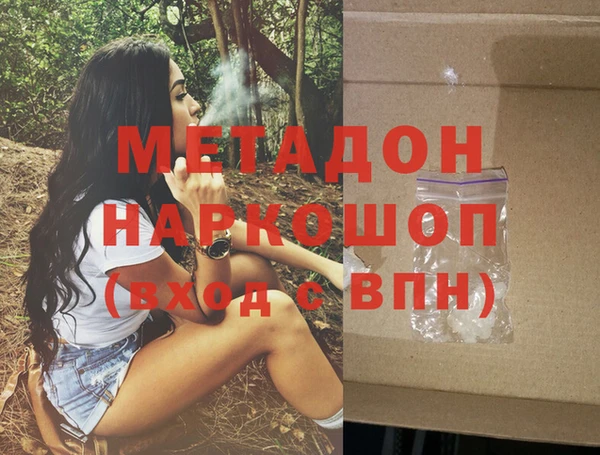 сатива Новозыбков