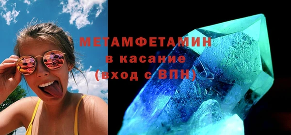 сатива Новозыбков