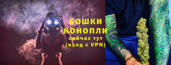 ешки Новодвинск