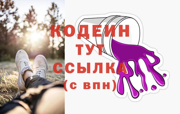 ешки Новодвинск