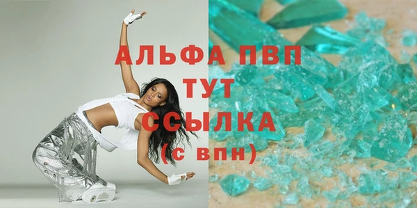 ешки Новодвинск