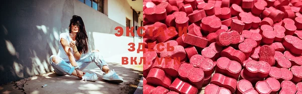 сатива Новозыбков