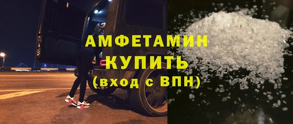 сатива Новозыбков