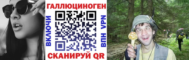 Псилоцибиновые грибы прущие грибы  Нефтегорск 